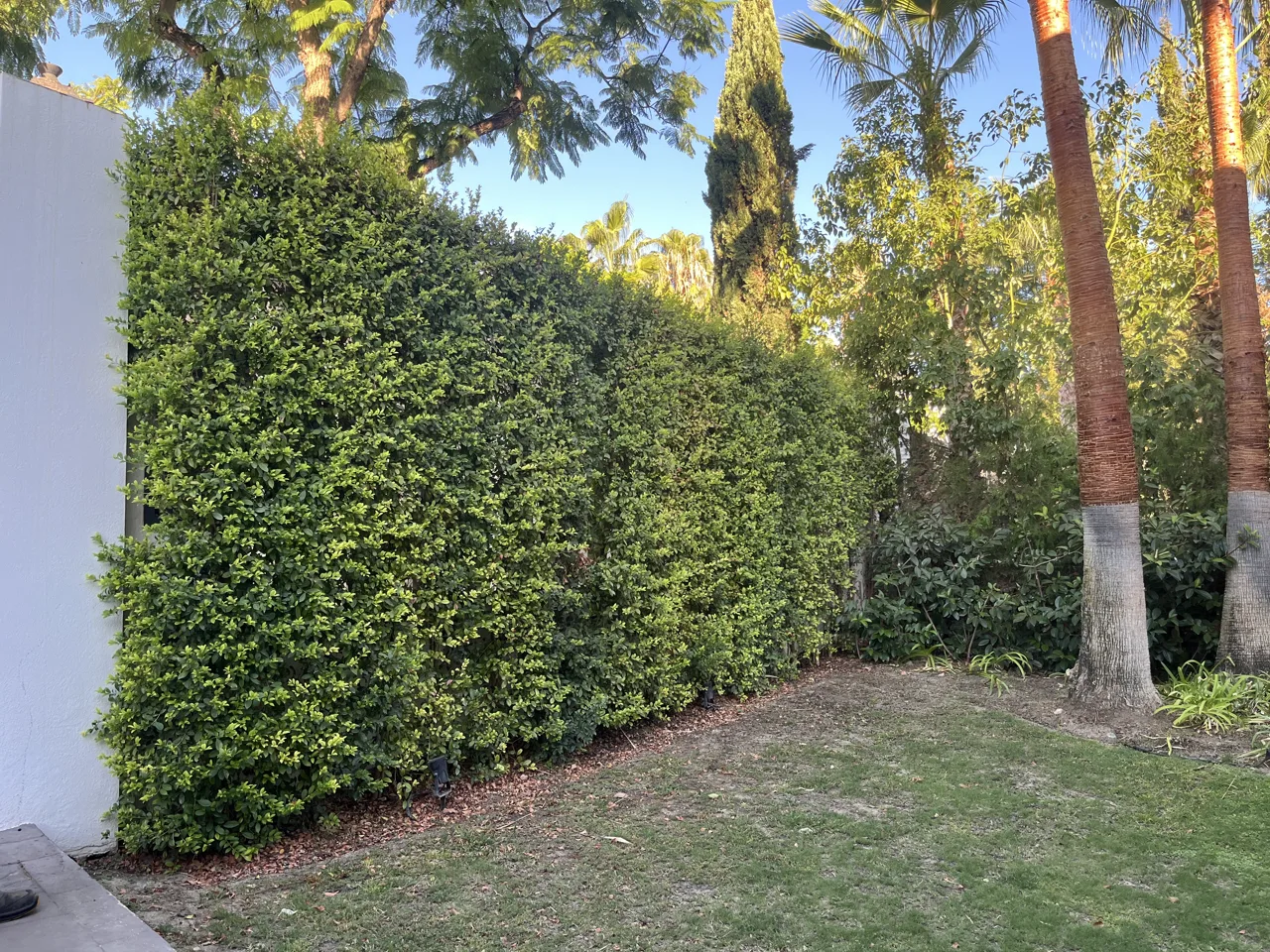 Jardín de Casa Estepona: vista 6 del archivo fotográfico